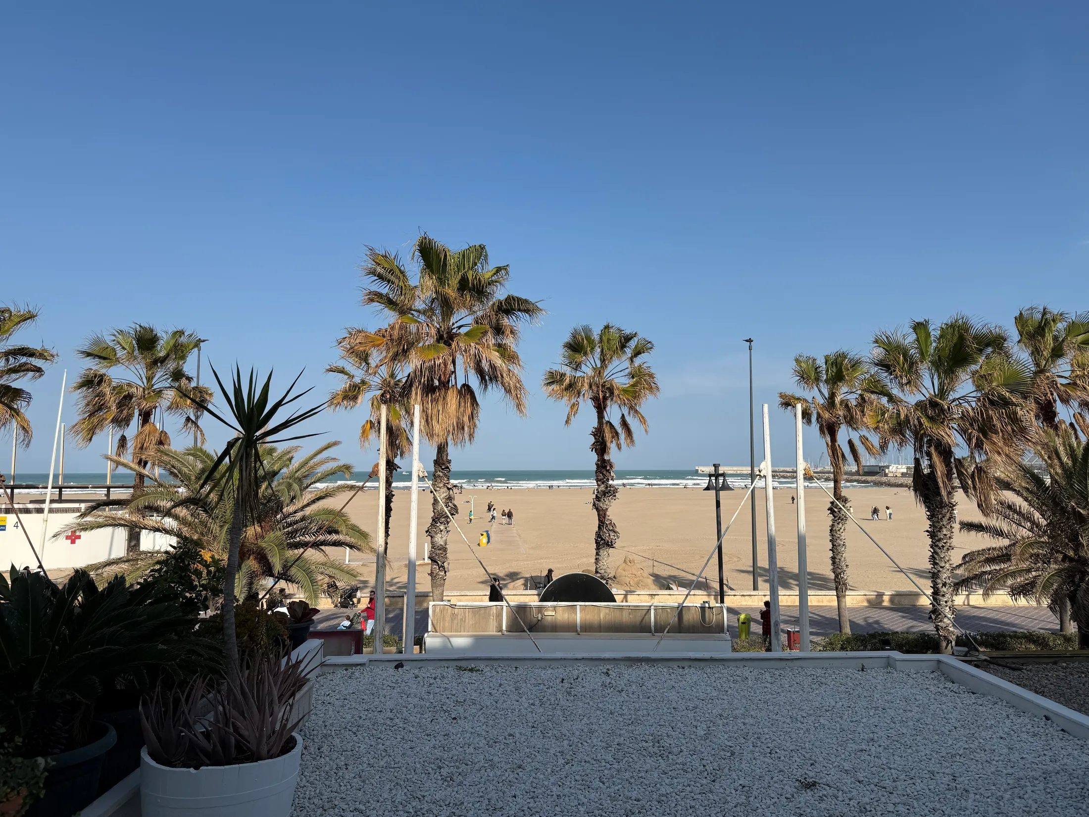 Playa de Las Arenas entre palmeras, vista desde la terraza del edificio