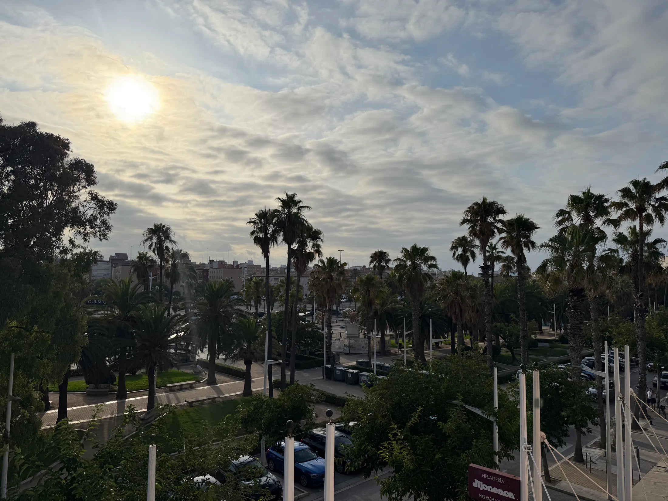 Vista de la playa y las palmeras, NEPTÚ24-5