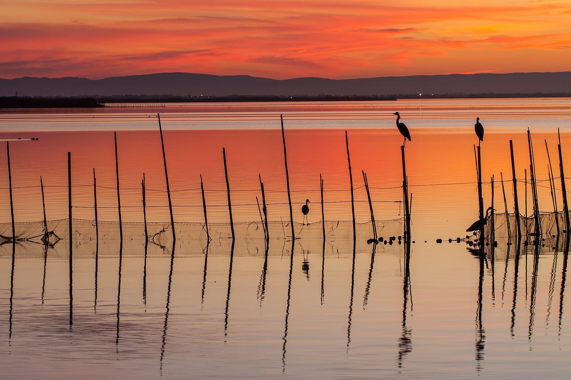 Proa de una barca en la Albufera con el sol sobre el agua