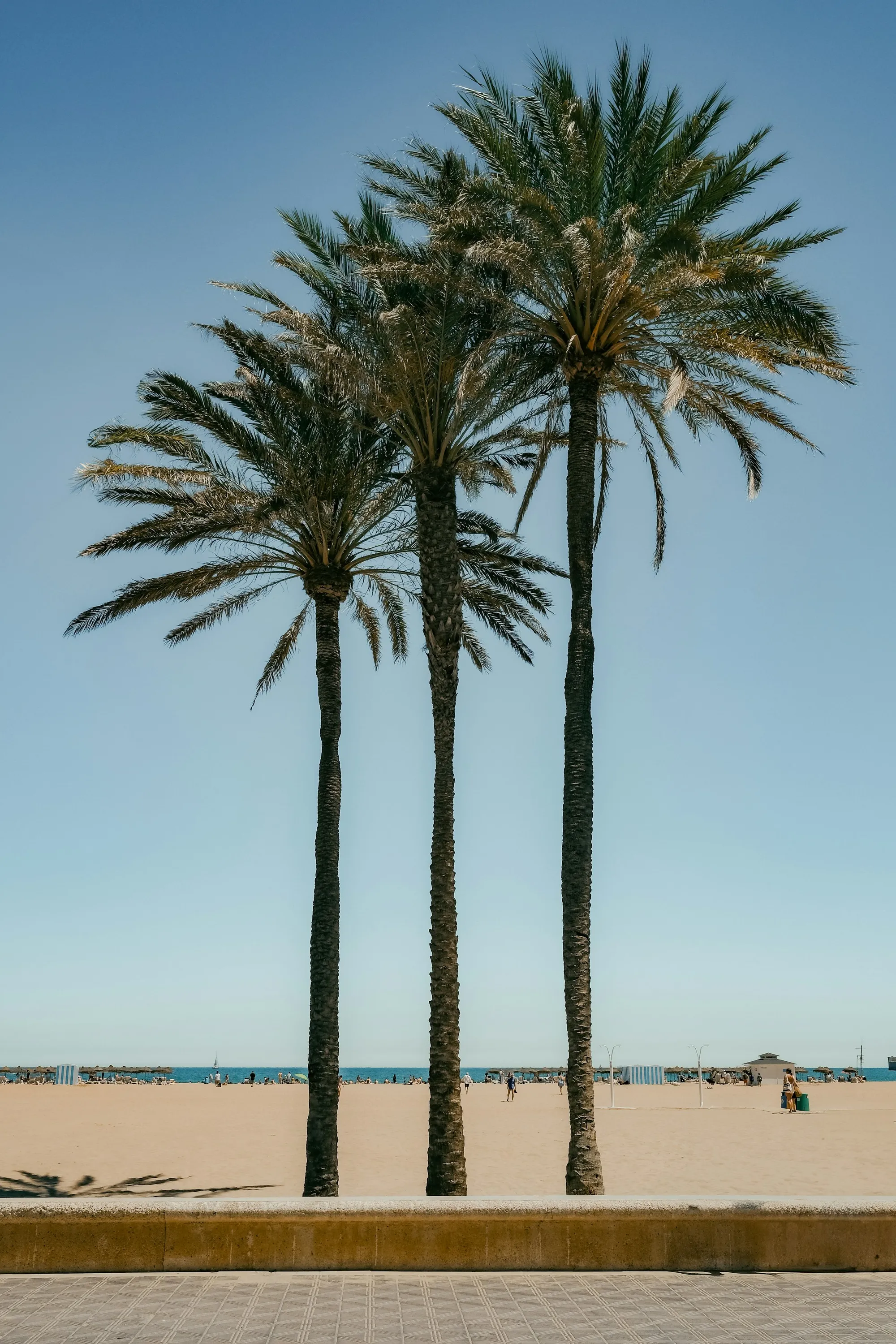 La playa de Las Arenas entre palmeras